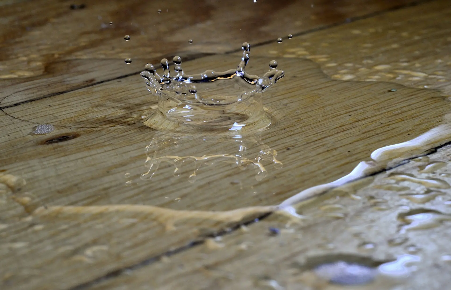 Dégat des eaux
