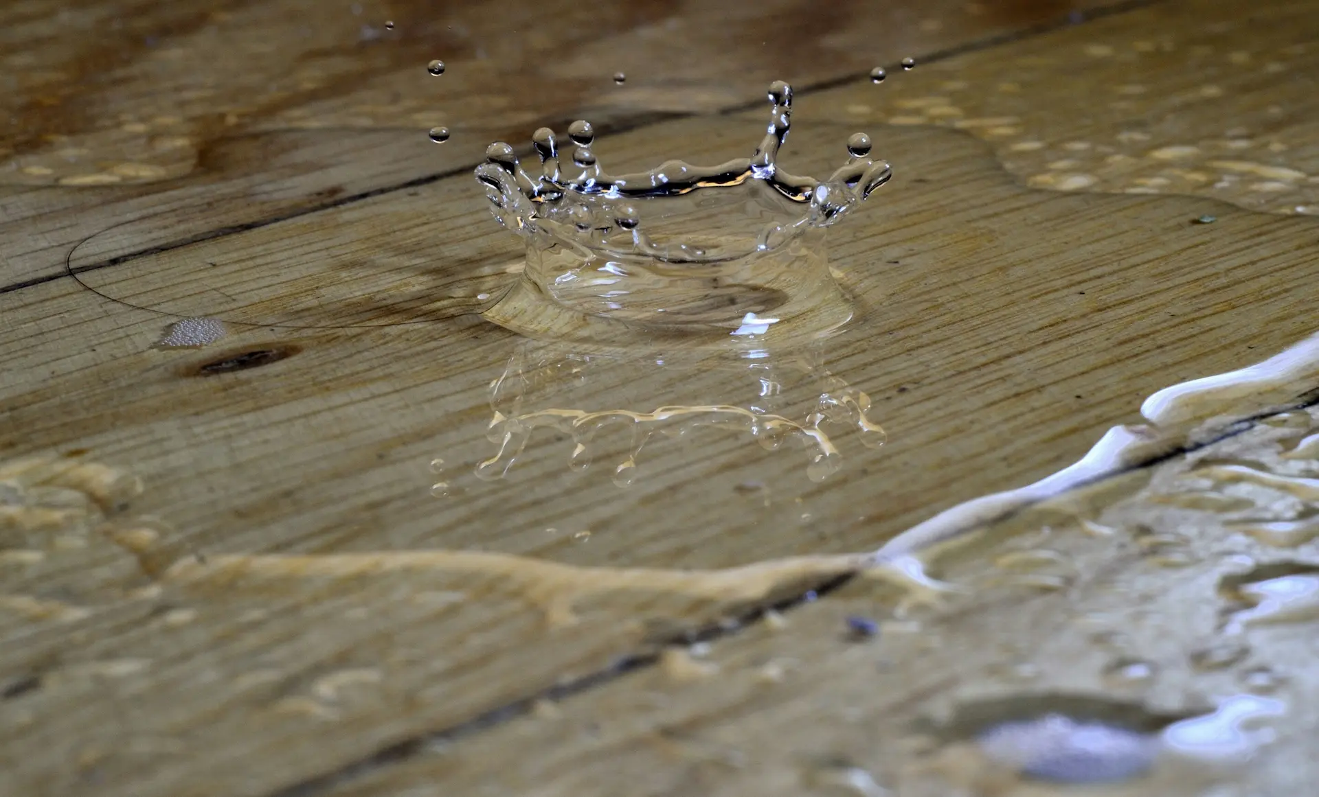 Dégat des eaux, maison