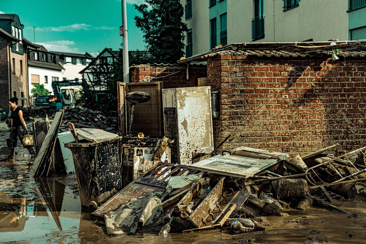 Doosenwhacker flood 6515464